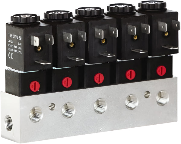 CAT06B-024-D VALVE, CAT SERIES | ARO (Ingersoll-Rand)