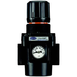 Regulator w/ 1/4 NPT Ports