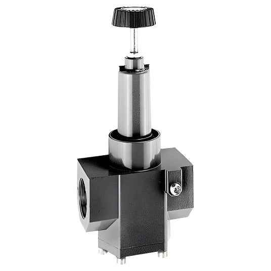 R375J1-100 REGULATOR BSP(SUPER-DUTY) | ARO (Ingersoll-Rand)