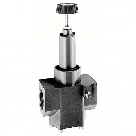 R375H1-100 LUBRICATOR BSP (SUPER-DUTY) | ARO (Ingersoll-Rand)