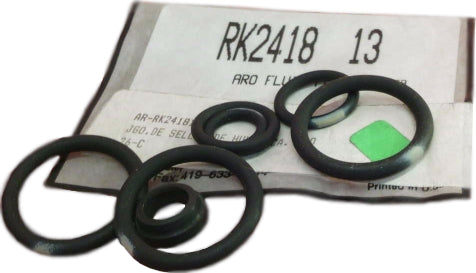 RK2418-13
